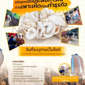หลักสูตร เปิดประสบการณ์การเพาะเห็ดก่อนทำธุรกิจ (29 มี.ค. 69)