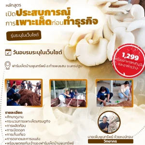 หลักสูตร เปิดประสบการณ์การเพาะเห็ดก่อนทำธุรกิจ (15 มิ.ย. 68)