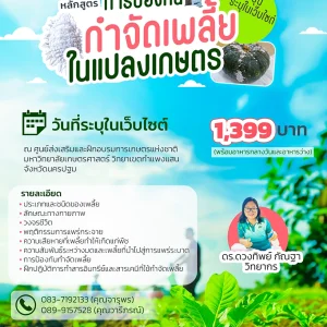 หลักสูตร การป้องกันกำจัดเพลี้ยในแปลงเกษตร (17 พ.ค. 69)