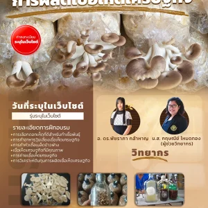 หลักสูตร การผลิตเชื้อเห็ดเศรษฐกิจ (6 พ.ค.69)