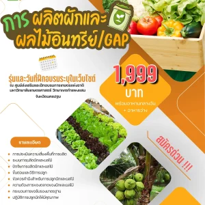 หลักสูตร การผลิตผักผลไม้อินทรีย์/GAP (2 ส.ค. 68)