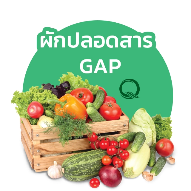 หลักสูตร การผลิตผักและผลไม้อินทรีย์/GAP (6 กรกฎาคม 2567)