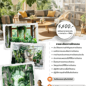 หลักสูตร การจัดสวนไม้ประดับในร่ม