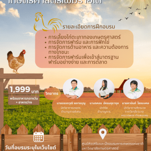 หลักสูตร การเลี้ยงไก่ตะเภาทองเกษตรศาสตร์เพิ่มรายได้
