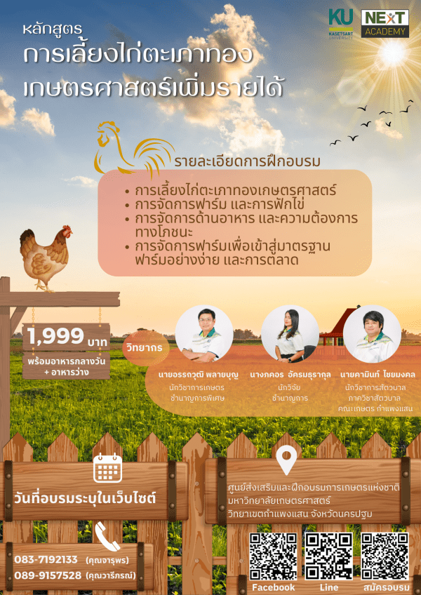 หลักสูตร การเลี้ยงไก่ตะเภาทองเกษตรศาสตร์เพิ่มรายได้ - Image 2
